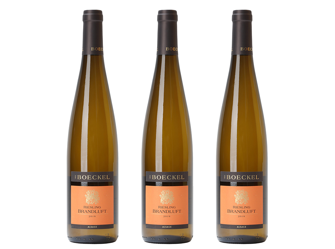 2021 Riesling · Brandluft · Øko