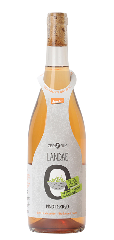 2020 Pinot Grigio Landae