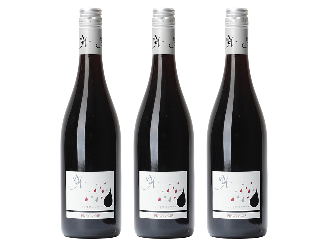 2021 Pinot Noir · Maison Albert · Øko