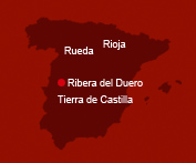 Ribera del Duero